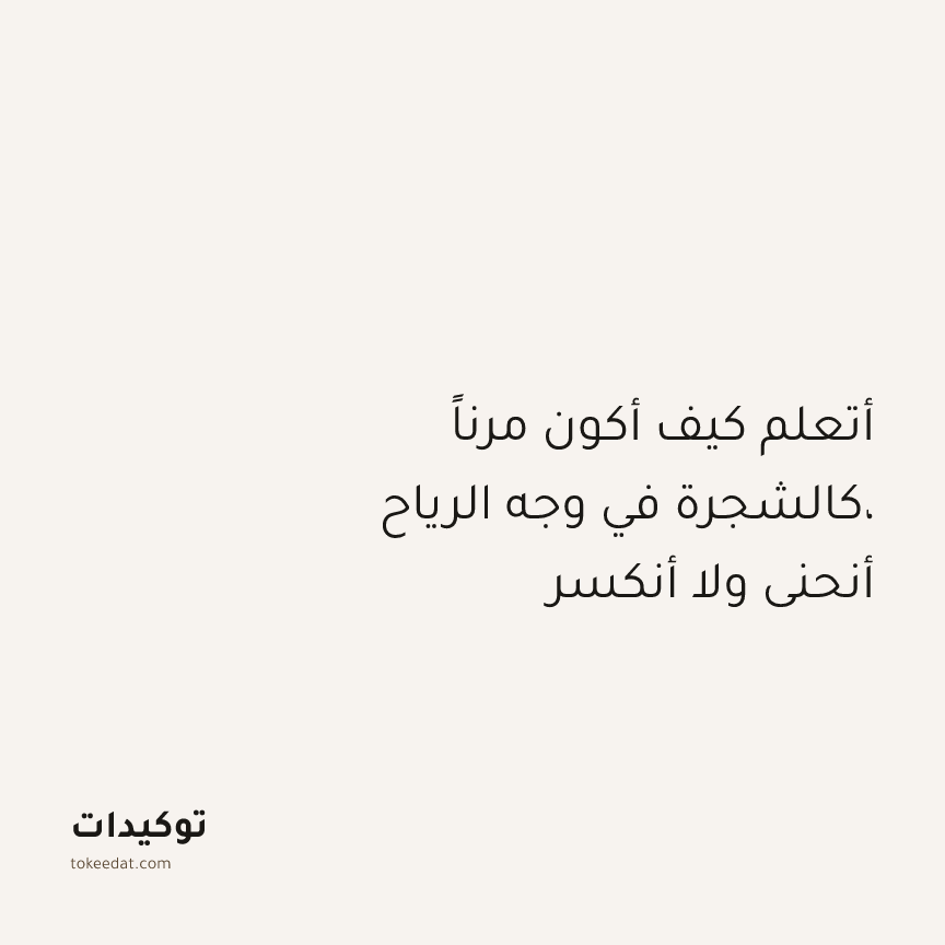توكيد الإيجابية: أتعلم كيف أكون مرناً كالشجرة في وجه الرياح، أنحني ولا أنكسر