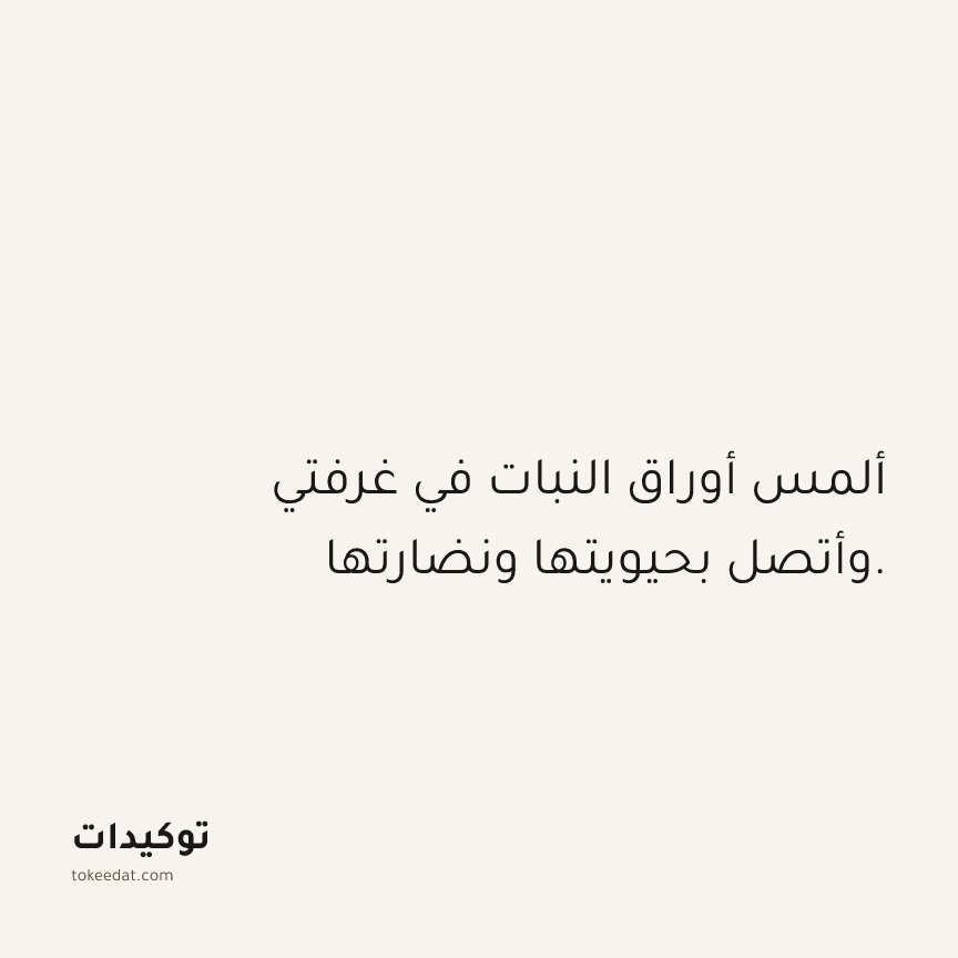 توكيد حُبّ الذات: ألمس أوراق النبات في غرفتي وأتصل بحيويتها ونضارتها.