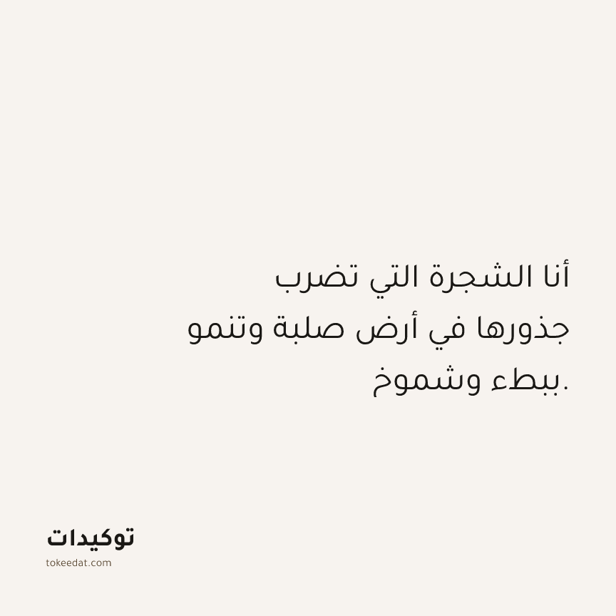 توكيد حُبّ الذات: أنا الشجرة التي تضرب جذورها في أرض صلبة وتنمو ببطء وشموخ.